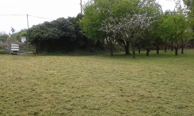 Terrain constructible viabilisé dans le cotentin