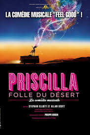 2 Places PRISCILLA FOLLE DU DESERT MARSEILLE + DVD Terence STAMP, Guy PEARCE, Hugo WEAVING