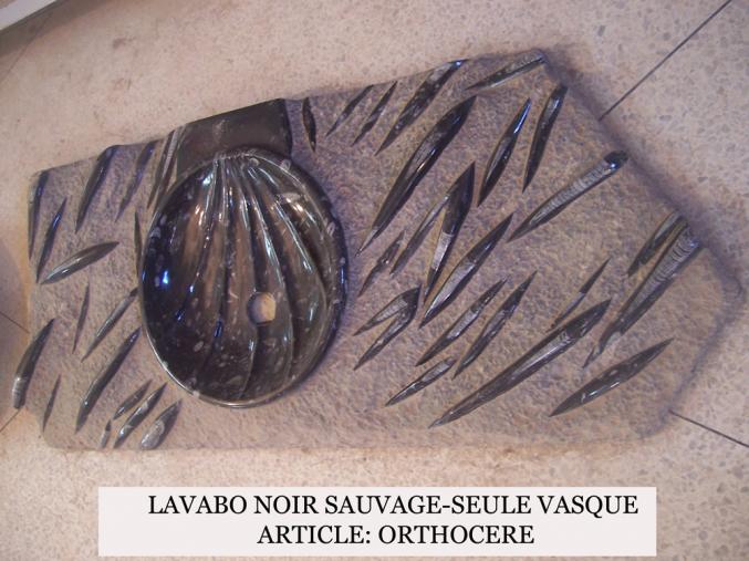 Lavabo en marbre fossilisé