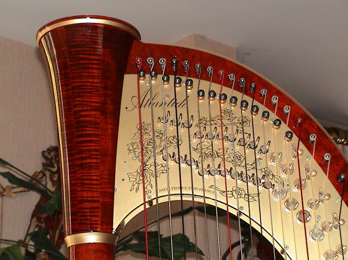 Harpe de concert 47 cordes double mouvement