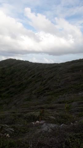 Terrain agricole plats et colline près de plage et vue mer