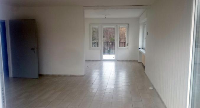 Beau pavillon 7 pièces - jardin bord d'étang - quartier calme - très ensoleillé