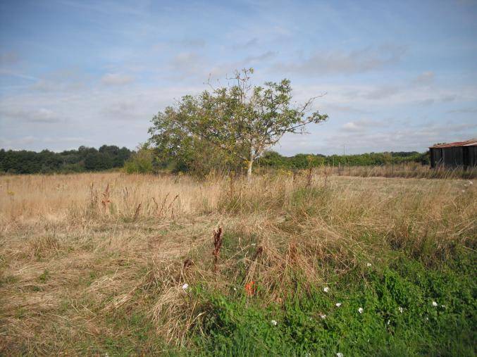Terrain constructible VEZIERES