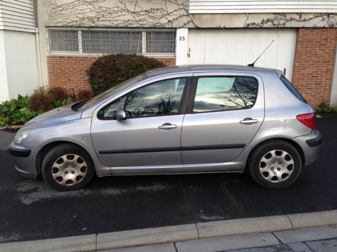 Peugeot 307 2l hdi 90cv