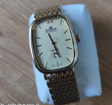 Montre Eden pour homme