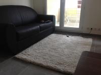 Particulier vends deux pièces à Cannes Palm-Beach