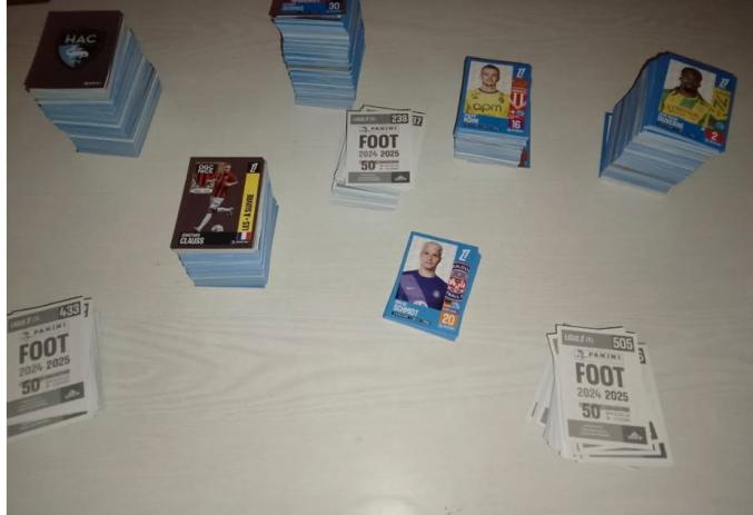 Foot PANINI 2024-2025