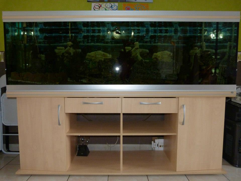 A vendre aquarium RENA 600 L et son meuble