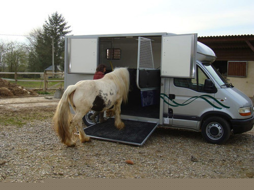Camion chevaux Master Renault 90CV