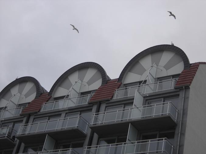 Appartement front de mer Bray-Dunes