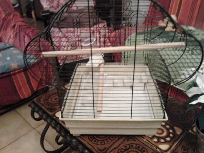 CAGE OISEAUX