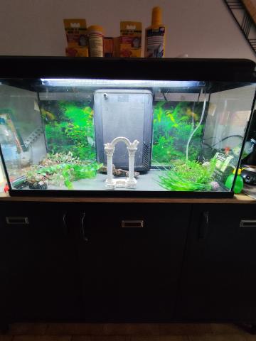 Aquarium 90 L