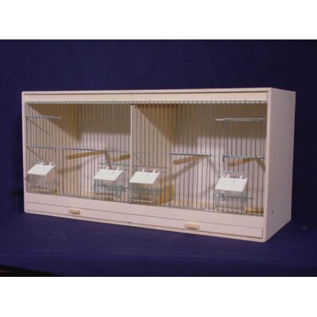 Canaris posture - cages élevage