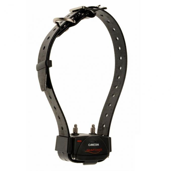 Collier de dressage "CANICOM 250 LE" pour chien