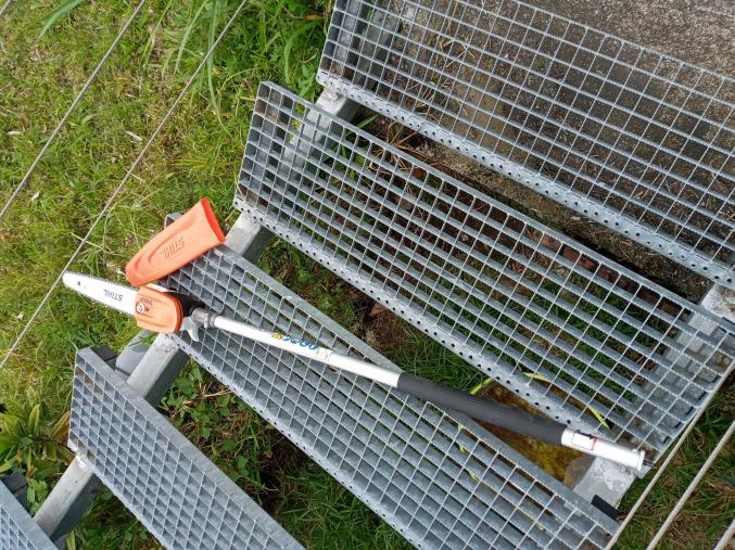 Perche élagueuse STIHL