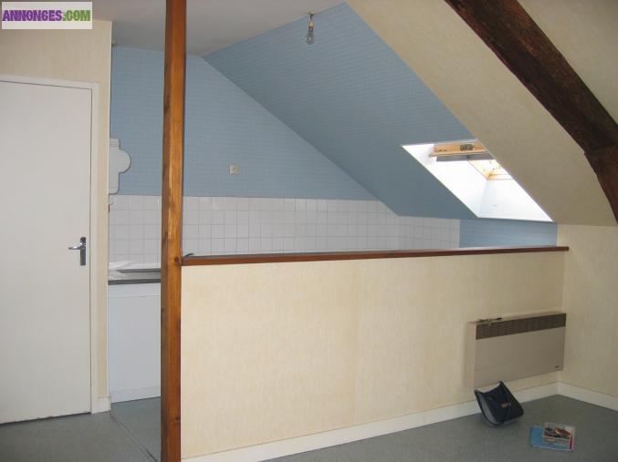 Proche centre ville ancenis loue studio vide