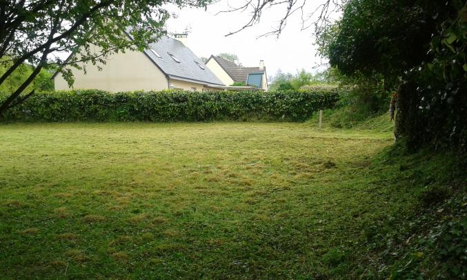 Terrain constructible viabilisé dans le cotentin