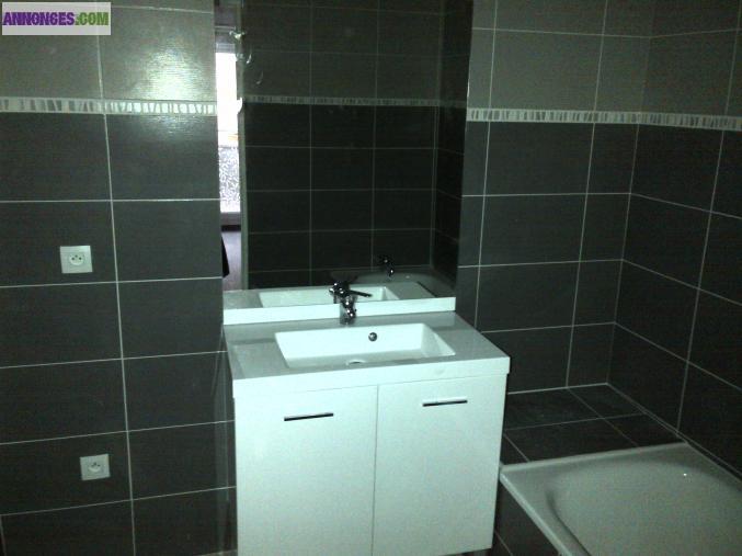 Appartement T2 + balcon + garage Villeurbanne République