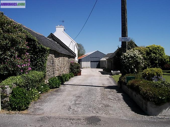 Maison avec dépendances et terrain