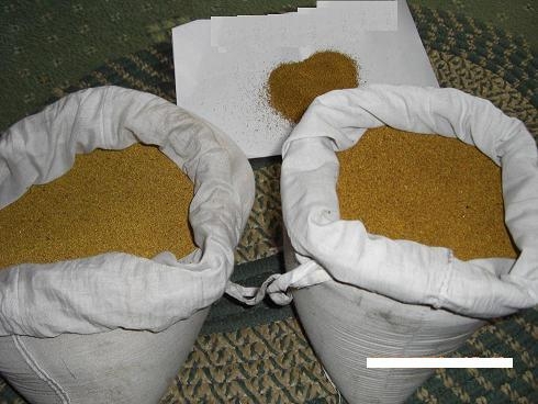 Proposition commerciale / Commercial proposal.‏