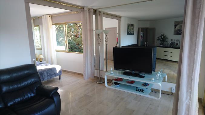 Appartement 3 pièces Cannes Basse Californie Piscine Rés. Standing