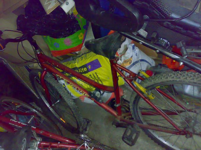 Velo rouge pour adulte