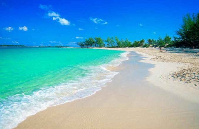 Cherche tondeuse thermique