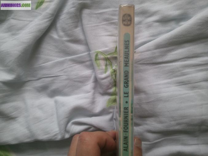 Livre le grand meaulnes d'alain fournier