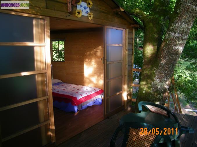 Insolite cabane dans les arbres