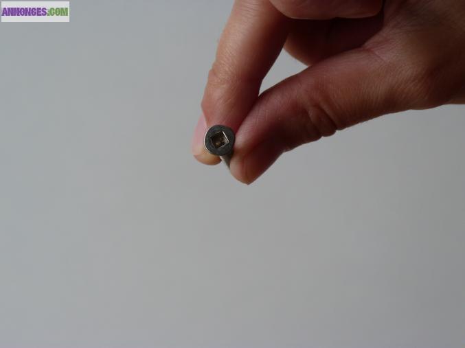 Vis autoperceuse inox tf carree