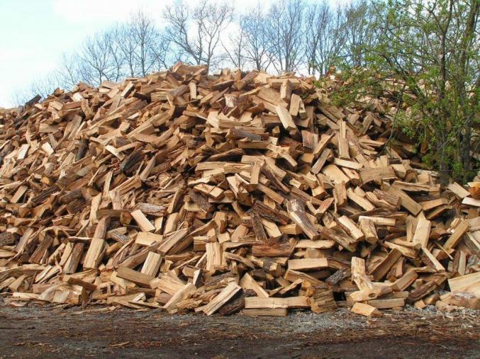 Bois de chauffage livre sur palette 