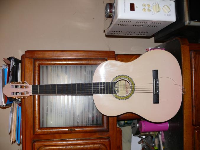 Guitares ( plusieurs modèles