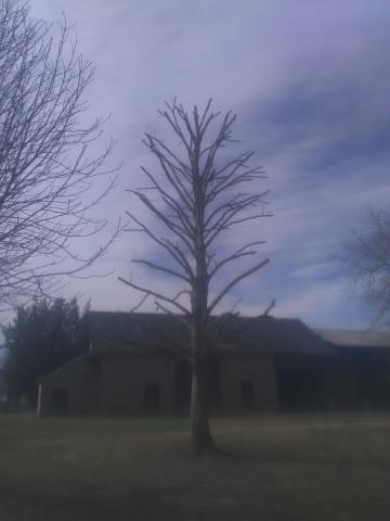 Élagueur-paysagiste