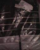 Survetement lacoste neuf