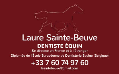 TECHNICIEN DENTAIRE EQUIN