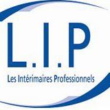 TECHNICIEN SAV GRUE SUR PL