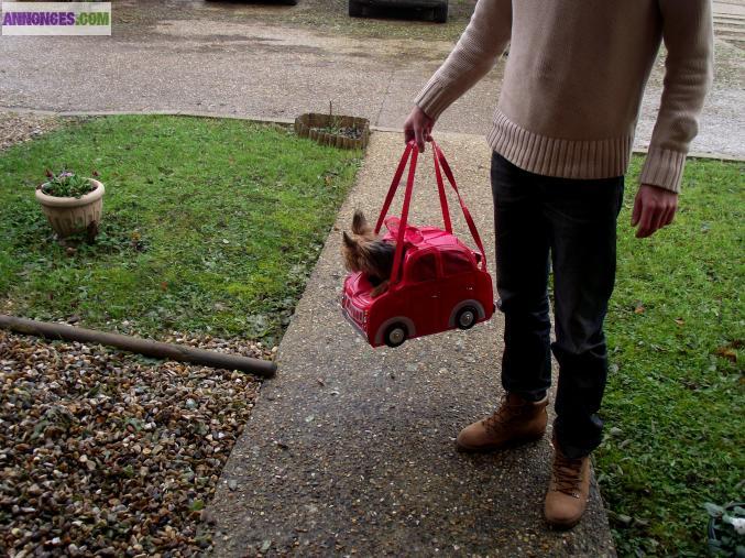 Sac de voyage pour chiens ou chats