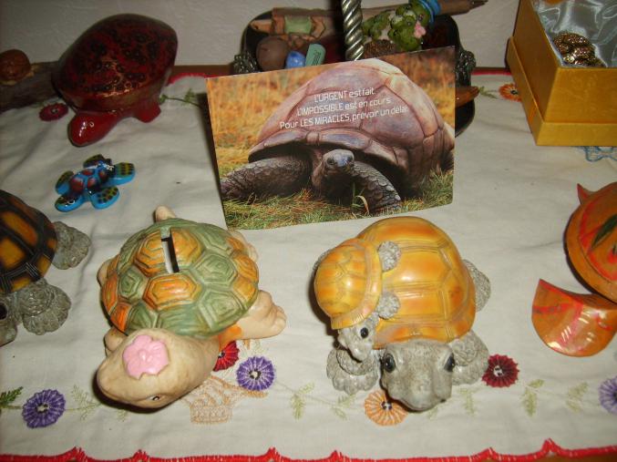 Collection de tortues
