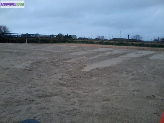 Pension paddock chevaux