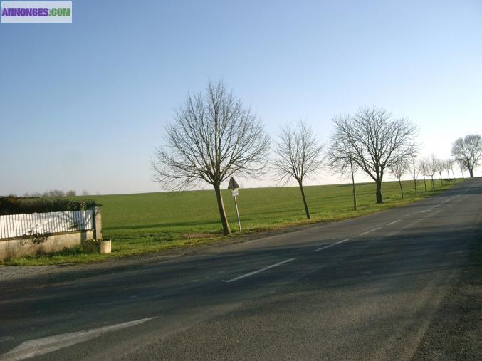 Terrains à vendre en lotissement