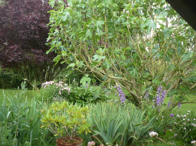 Chambre d'hôte et Gîte Anne-Marie