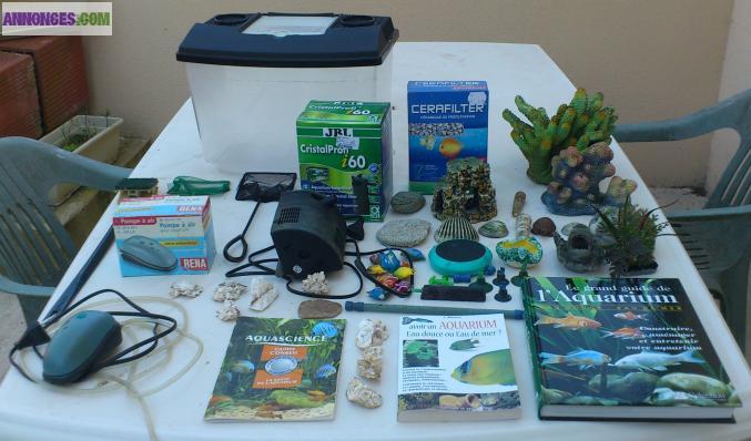 Aquarium 60L + meuble + accessoires