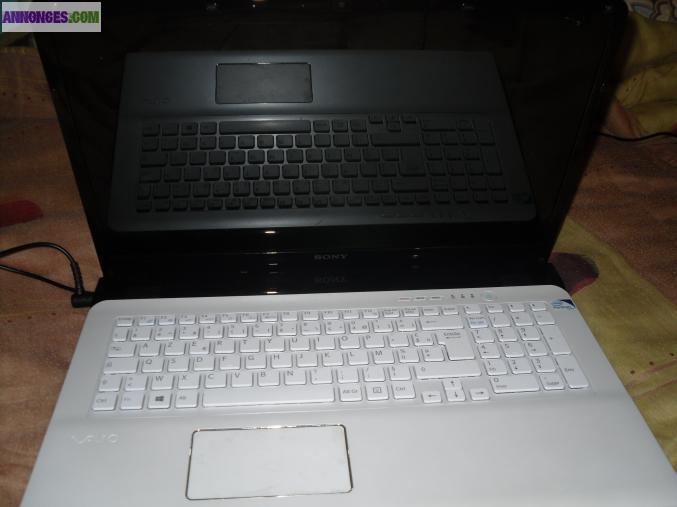 Ordinateur sony viao