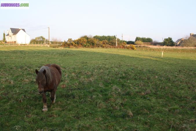 Terrain constructible