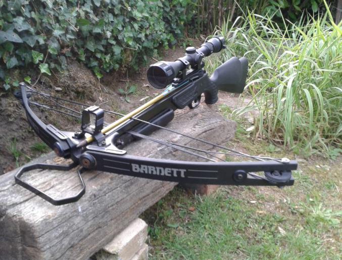 Arbalète à poulies