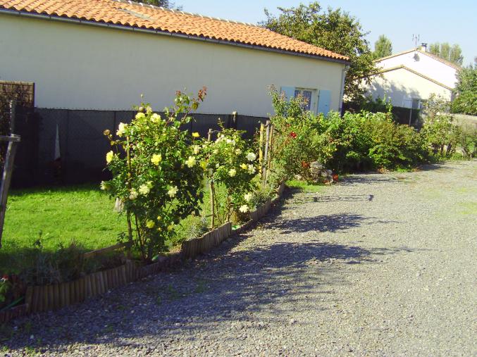 Cours et Conseil en Electricité