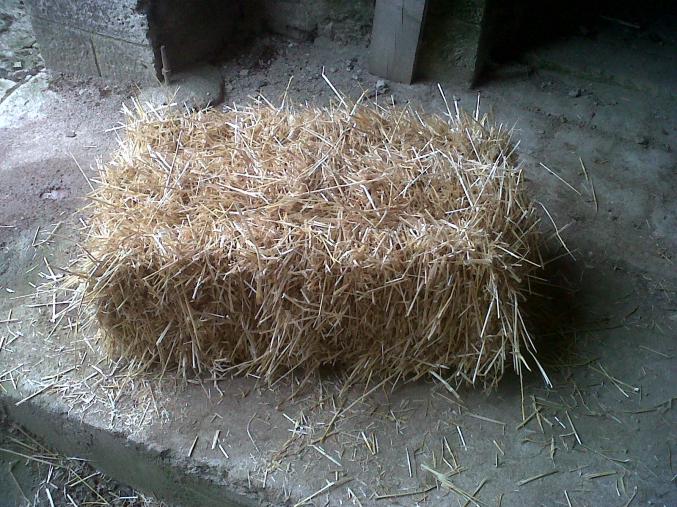 Petits ballots de paille