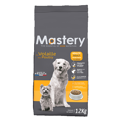 Alimentation chiens et chats