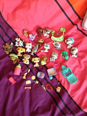 20 petshops + accessoires