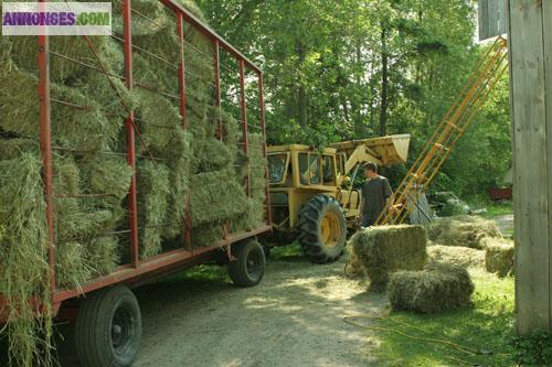 Foins et paille
